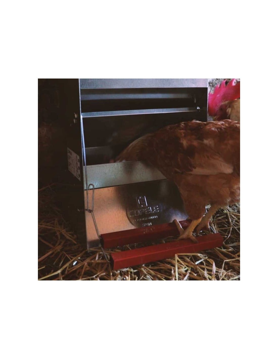 Comedero Tolva Anti Pajaros para Gallinas MOD  Safeed   Imagen 3