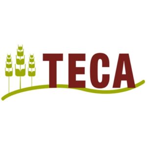 Teca