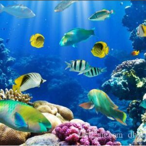 Peces y Tortugas