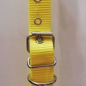 Collar amarillo fluorescente