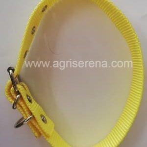Collar amarillo fluorescente