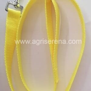 Correa para perros amarillo fluorescente