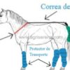 Protector de Transporte para Caballos Oxford Leg - Imagen 2
