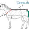 Cubrecola de Nylon y Algodon - Imagen 2